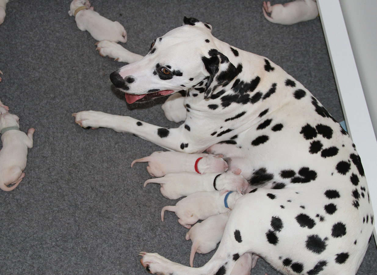 Nachwuchs am 11.08.2019