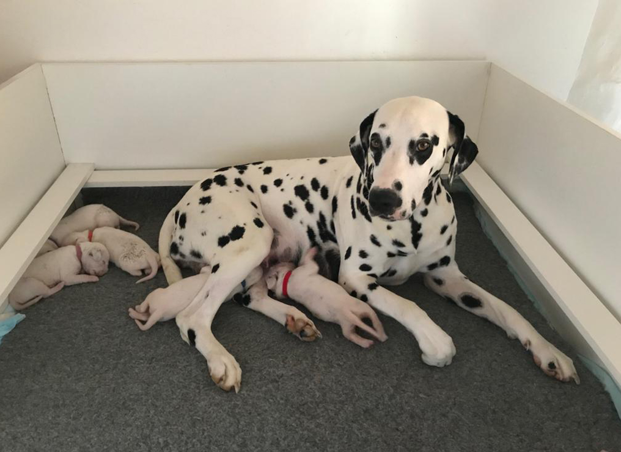 Nachwuchs am 16.08.2019