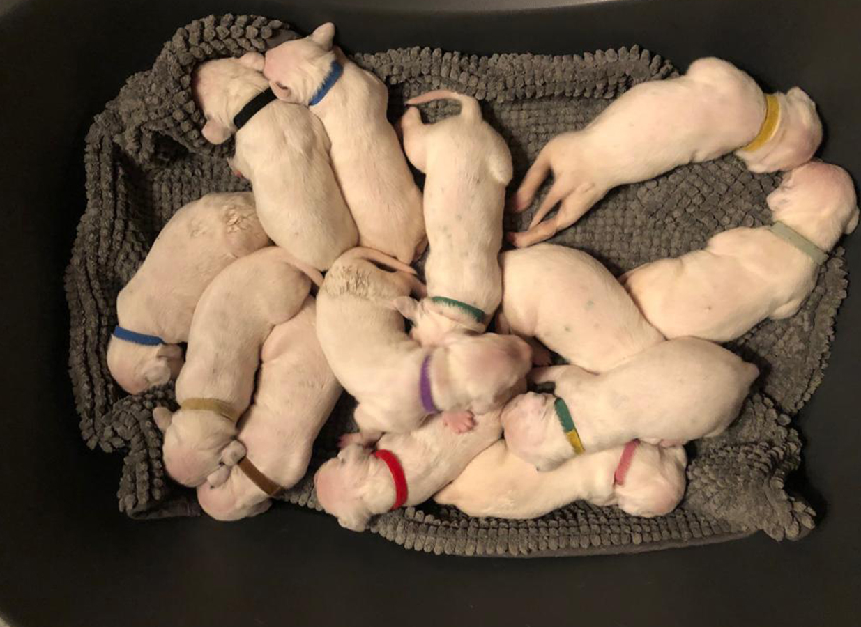 Nachwuchs am 16.08.2019