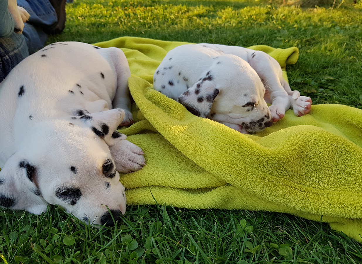 Nachwuchs am 18.09.2019