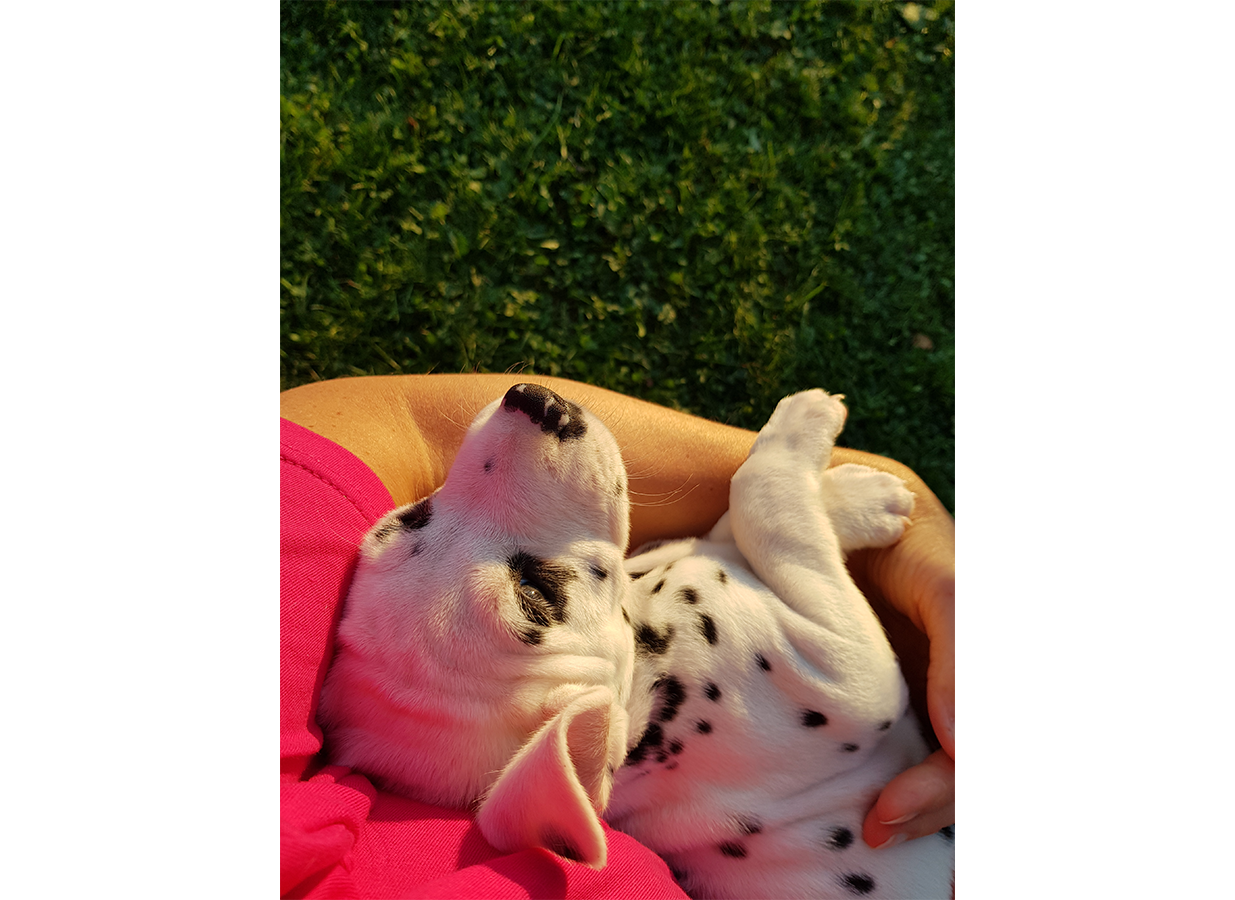 Nachwuchs am 18.09.2019