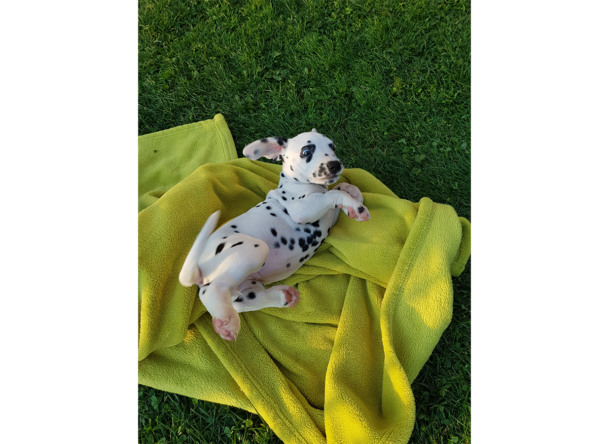 Nachwuchs am 18.09.2019