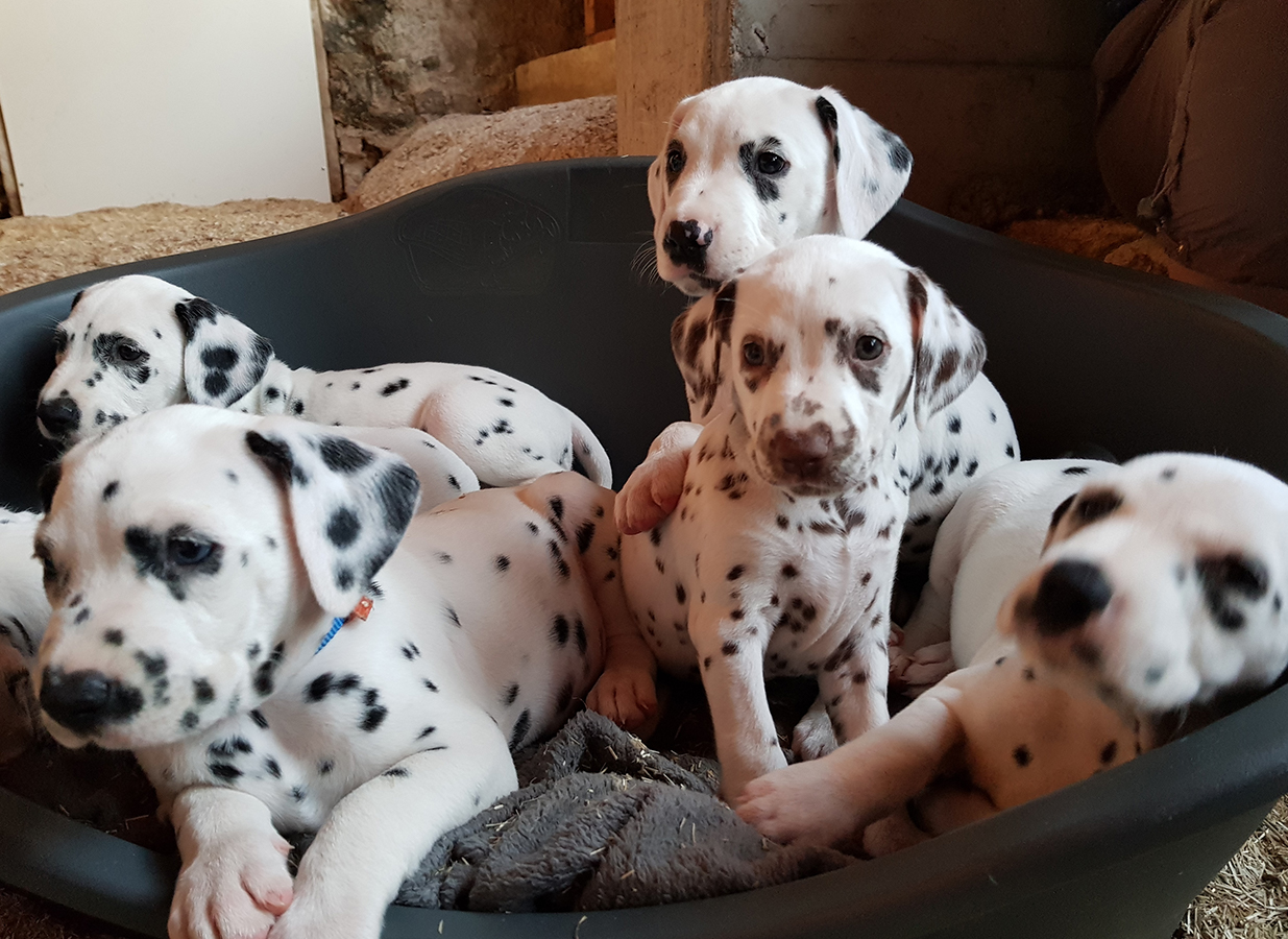 Nachwuchs am 18.09.2019