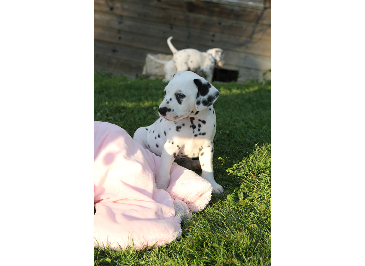 Nachwuchs am 18.09.2019