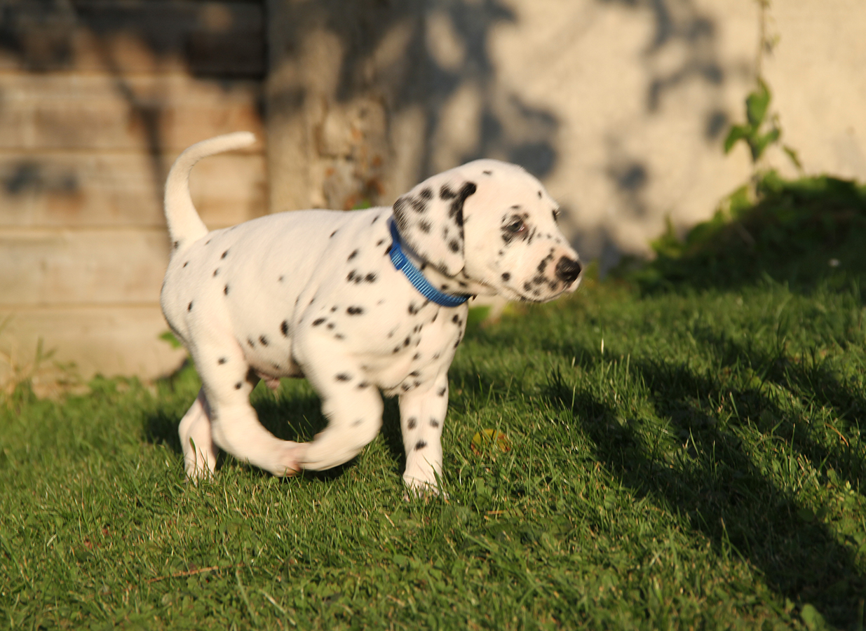 Nachwuchs am 18.09.2019