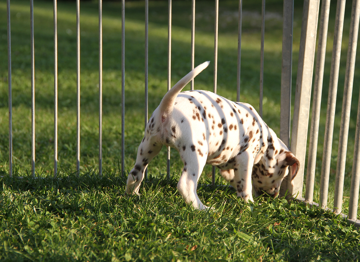 Nachwuchs am 18.09.2019