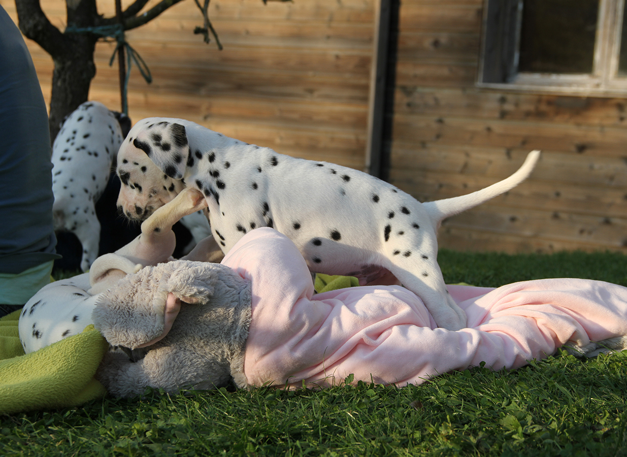 Nachwuchs am 18.09.2019