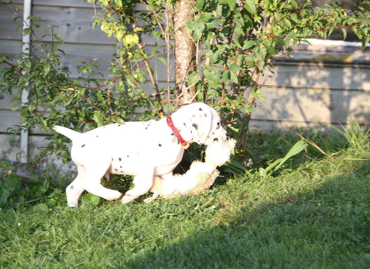 Nachwuchs am 18.09.2019