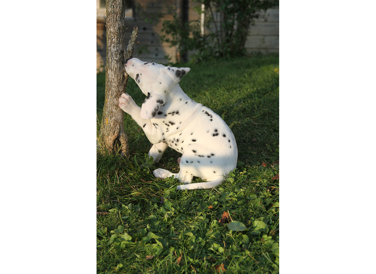 Nachwuchs am 18.09.2019