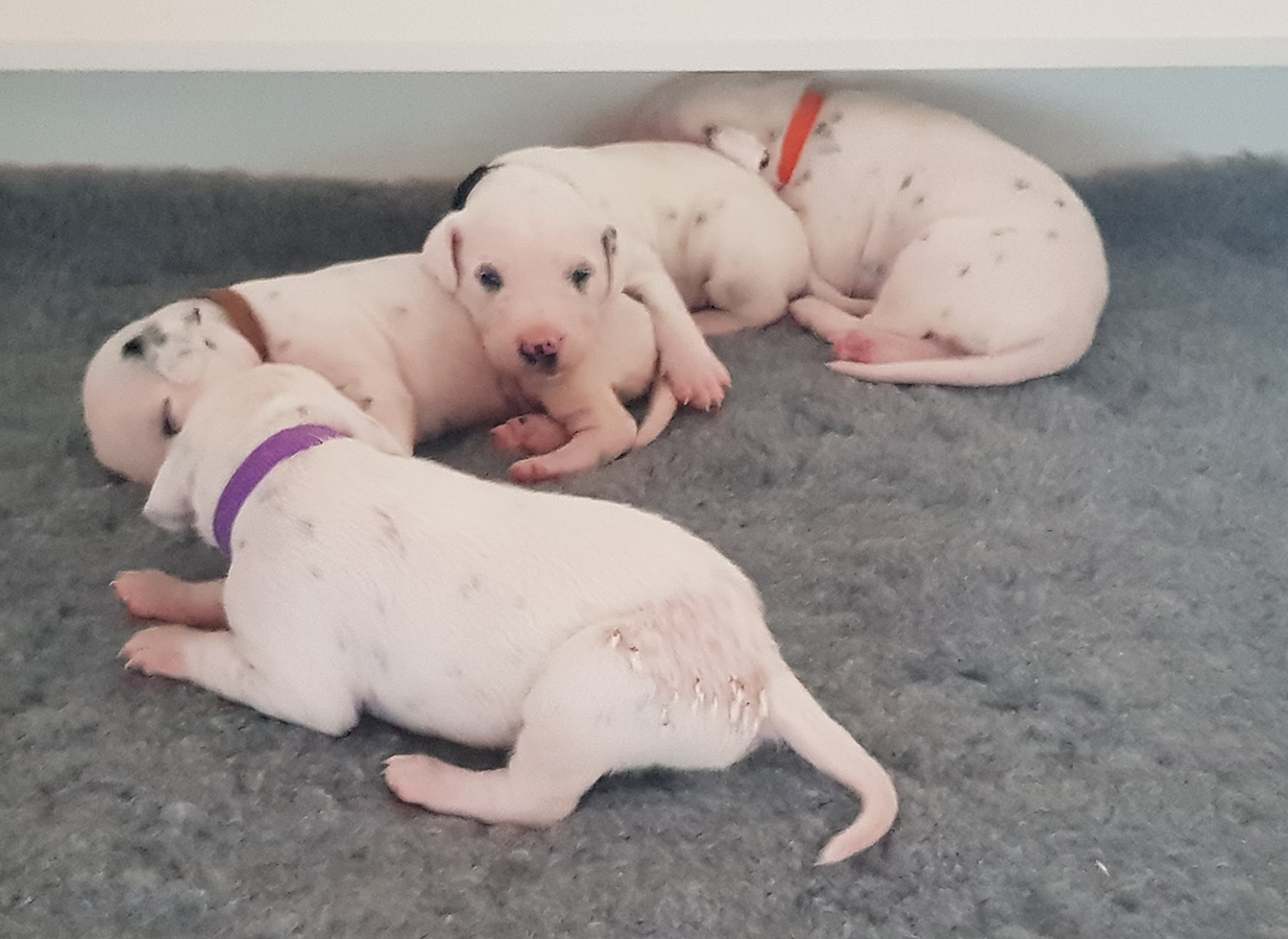 Nachwuchs am 21.08.2019