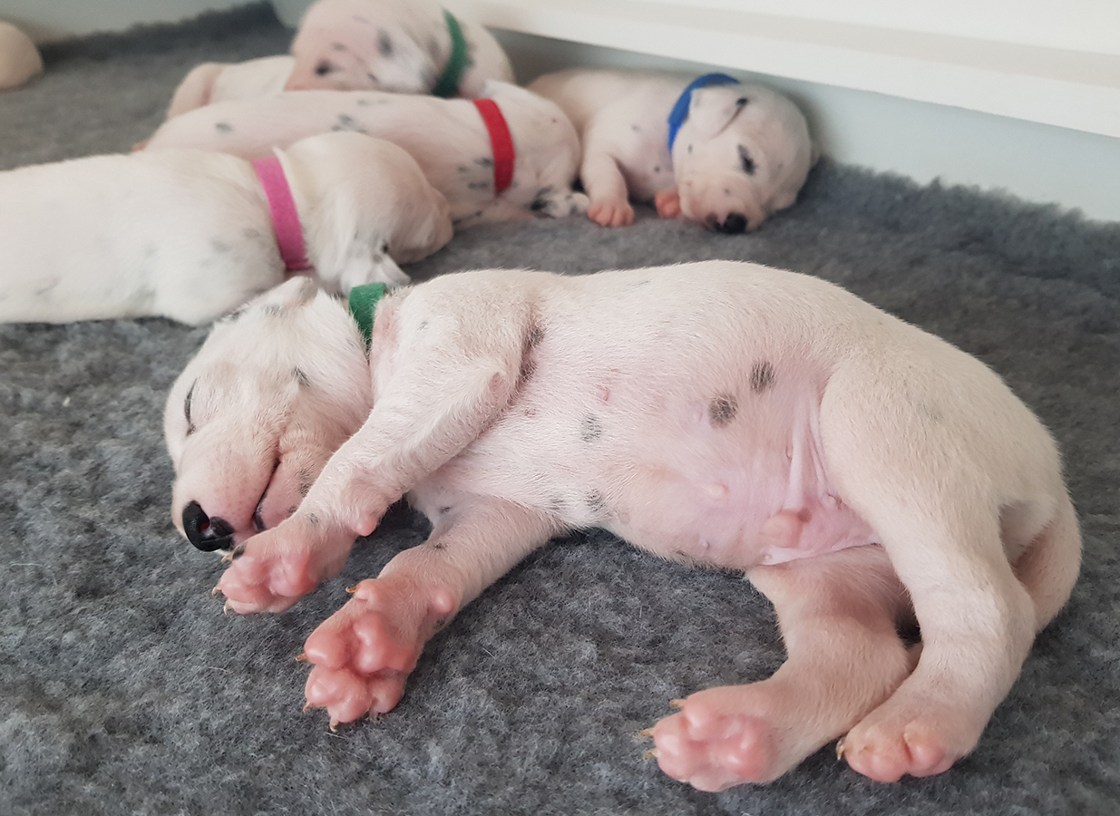 Nachwuchs am 21.08.2019