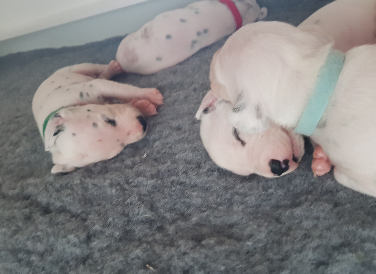 Nachwuchs am 21.08.2019