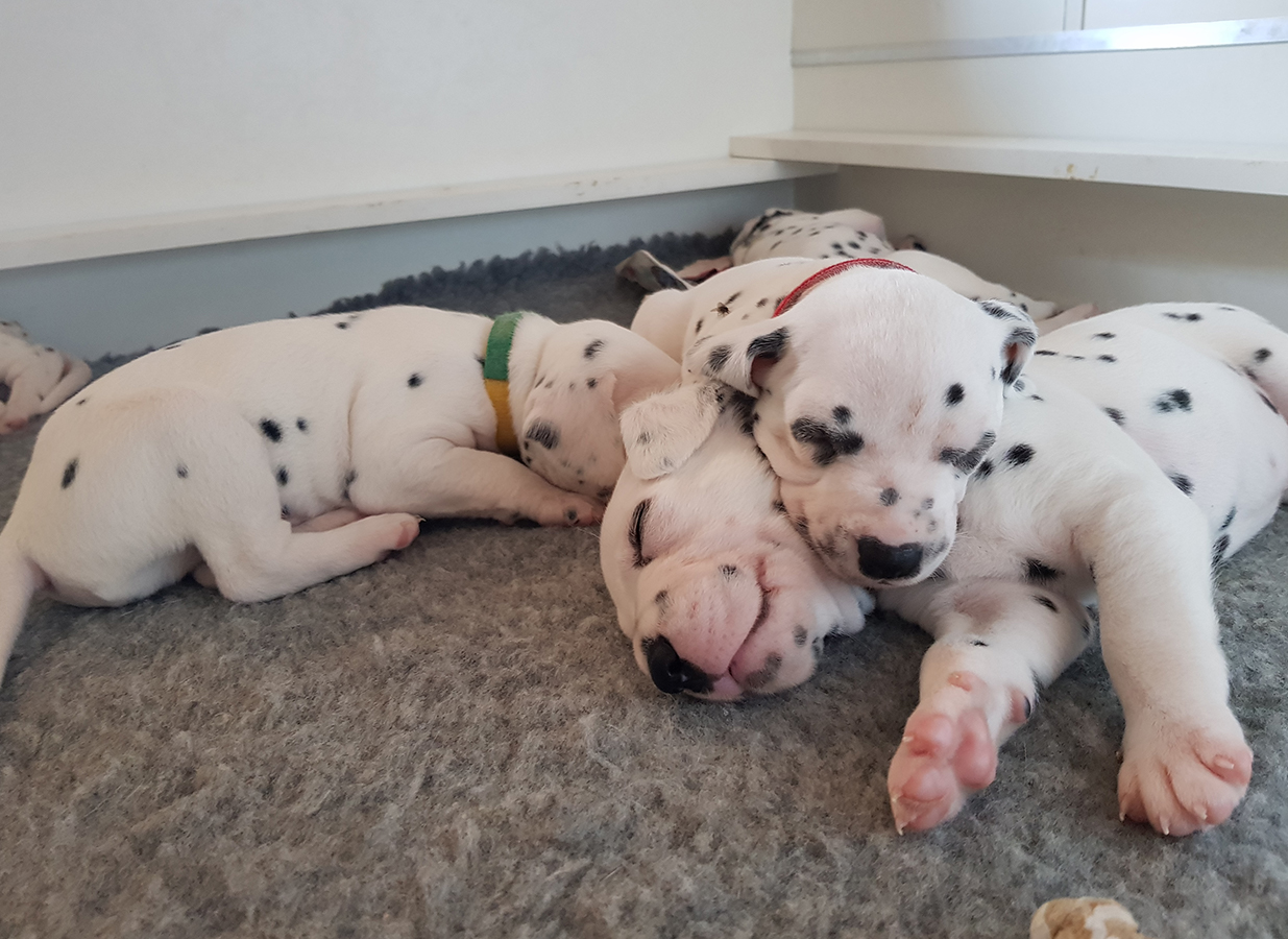 Nachwuchs am 30.08.2019